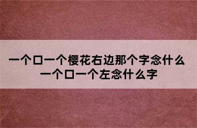 一个口一个樱花右边那个字念什么 一个口一个左念什么字